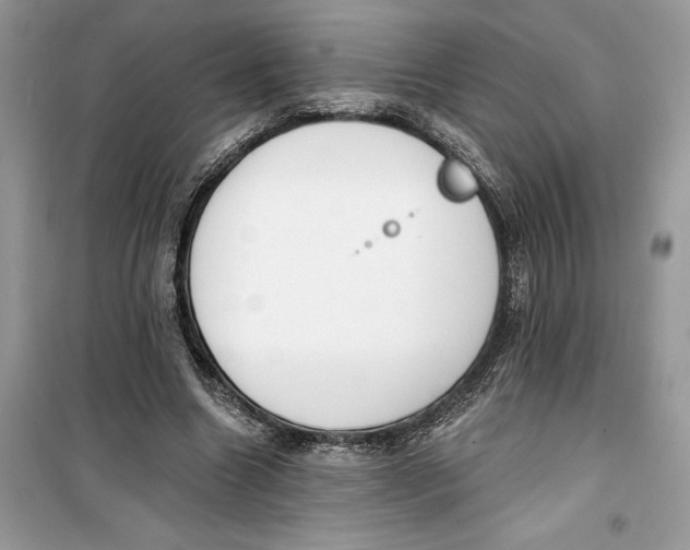 X0000099300538200805231344