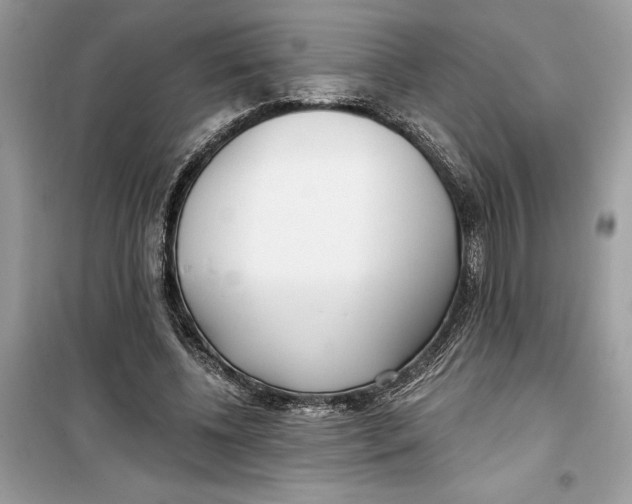 X0000099300540200805231344