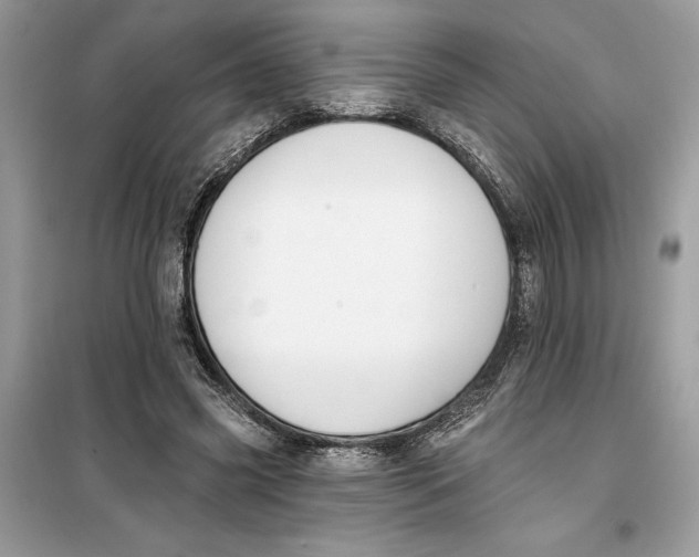 X0000099300541200805231344