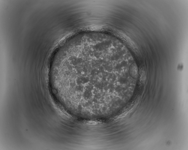 X0000099300542200805231344