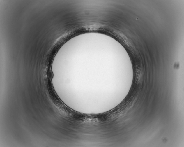 X0000099300543200805231344