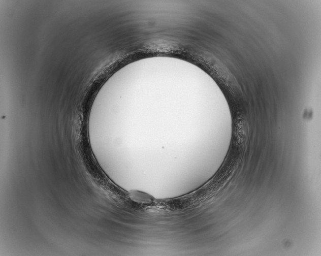 X0000099300544200805231344