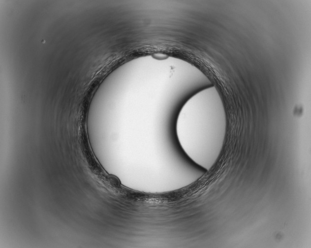 X0000099300546200805231344