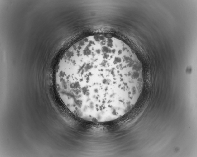 X0000099300547200805231344