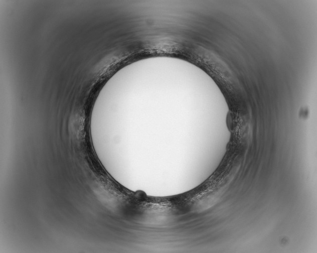 X0000099300548200805231344