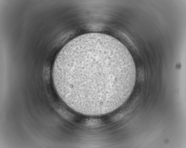 X0000099300549200805231344