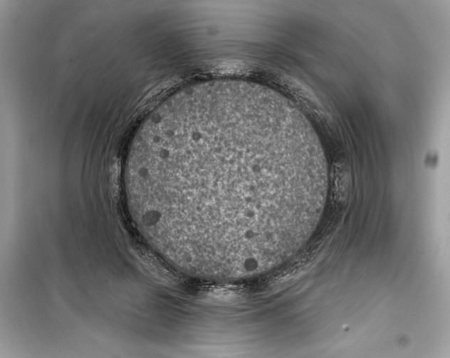 X0000099300550200805231344