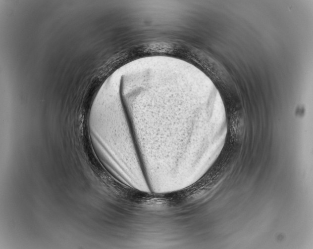 X0000099300551200805231344