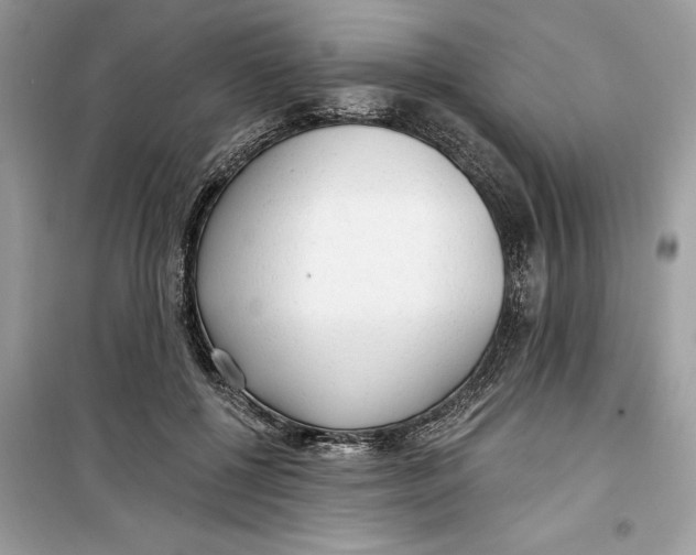 X0000099300552200805231344