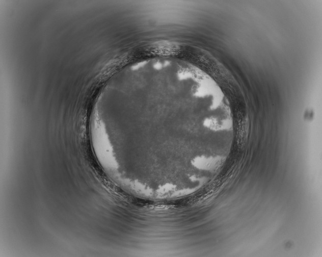 X0000099300553200805231344