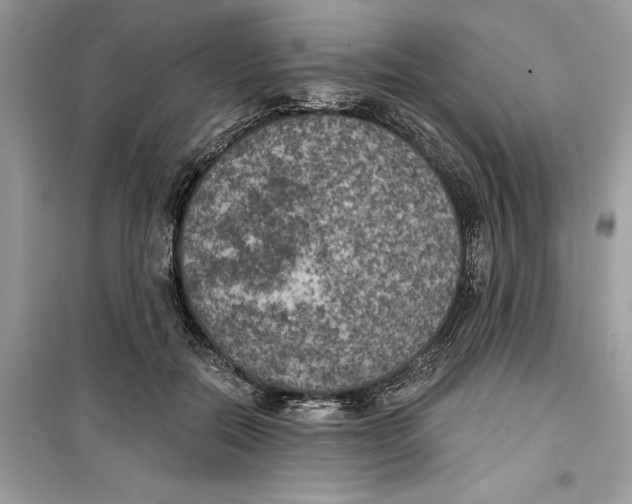 X0000099300554200805231344