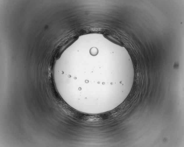 X0000099300555200805231344