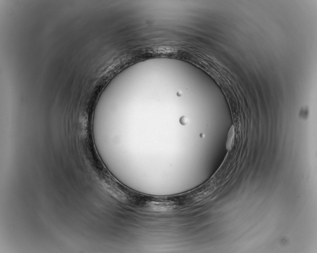 X0000099300556200805231344