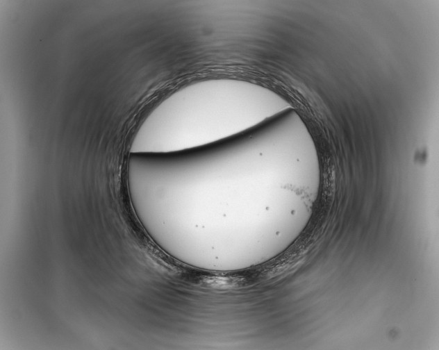 X0000099300558200805231344