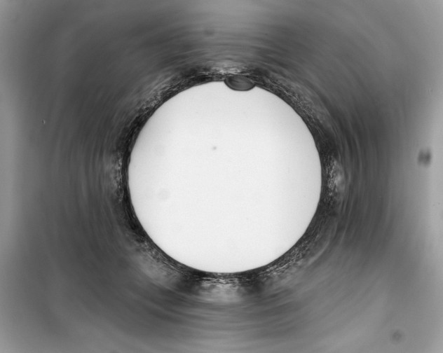 X0000099300559200805231344