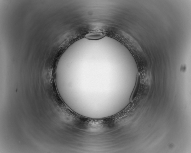 X0000099300560200805231344