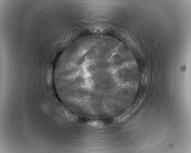 X0000099300561200805231344