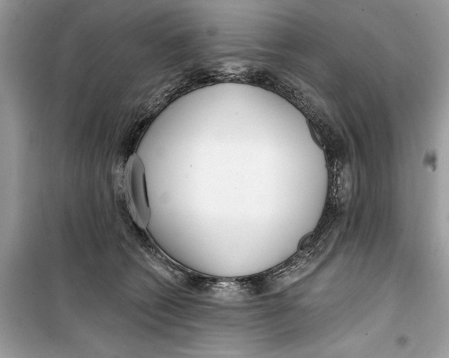 X0000099300562200805231344