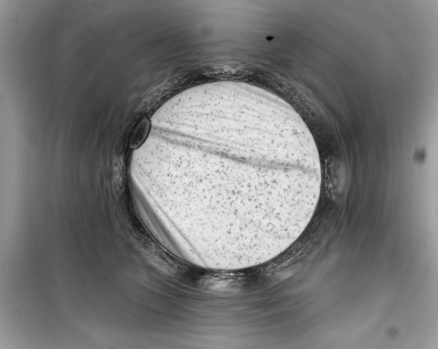 X0000099300563200805231344