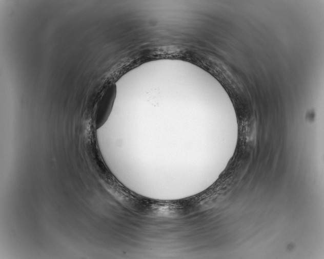 X0000099300564200805231344