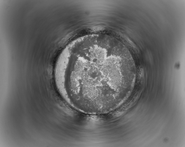 X0000099300565200805231344