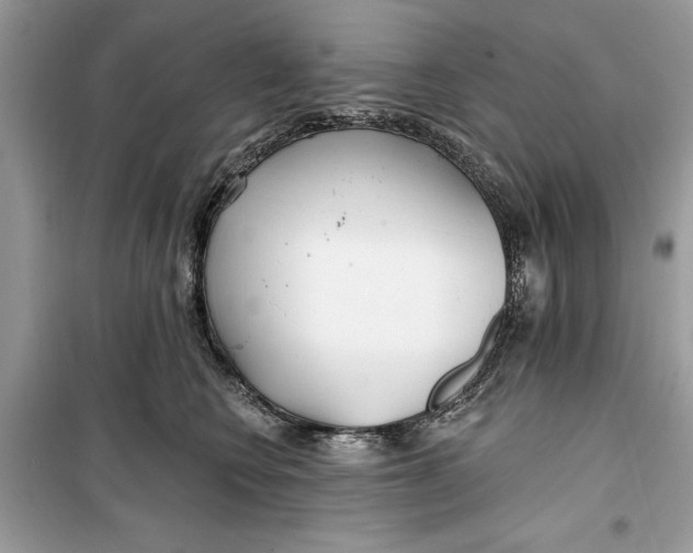 X0000099300566200805231345