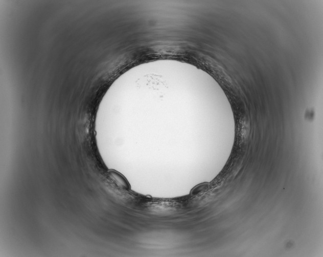 X0000099300567200805231345