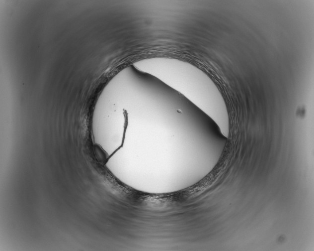 X0000099300568200805231345