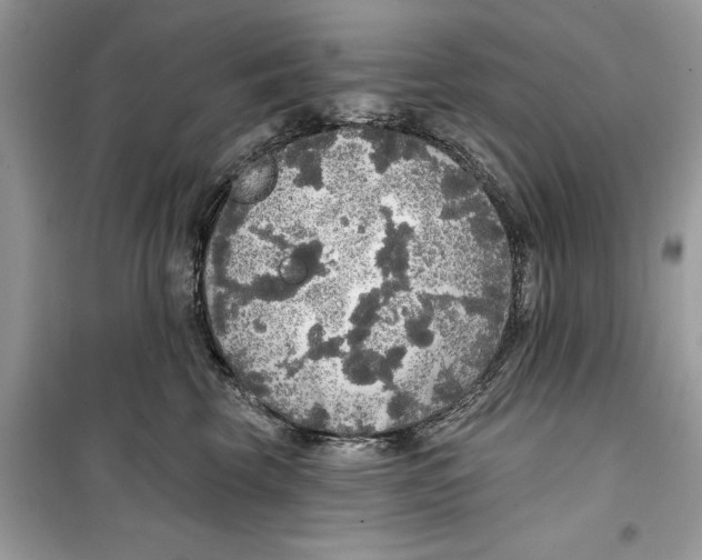 X0000099300569200805231345