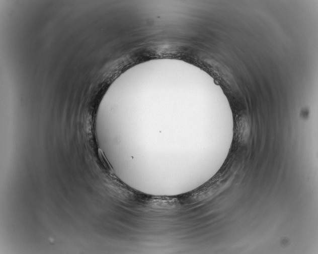 X0000099300571200805231345