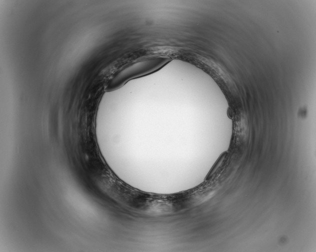 X0000099300572200805231345