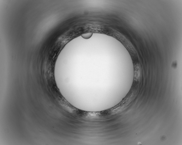 X0000099300573200805231345