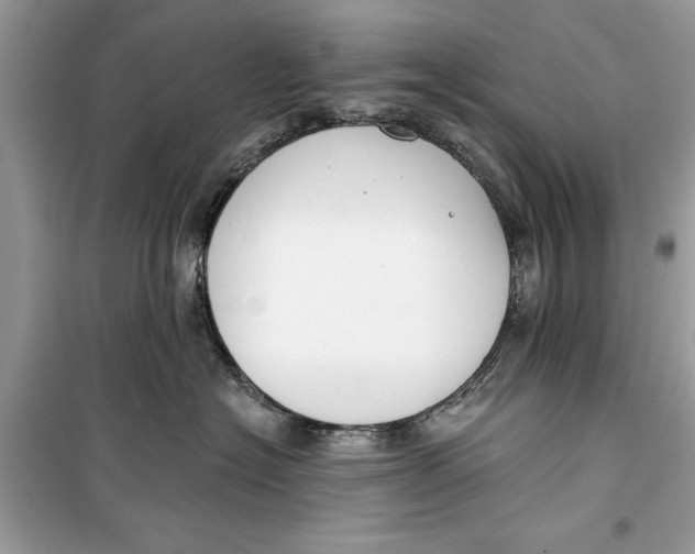 X0000099300574200805231345