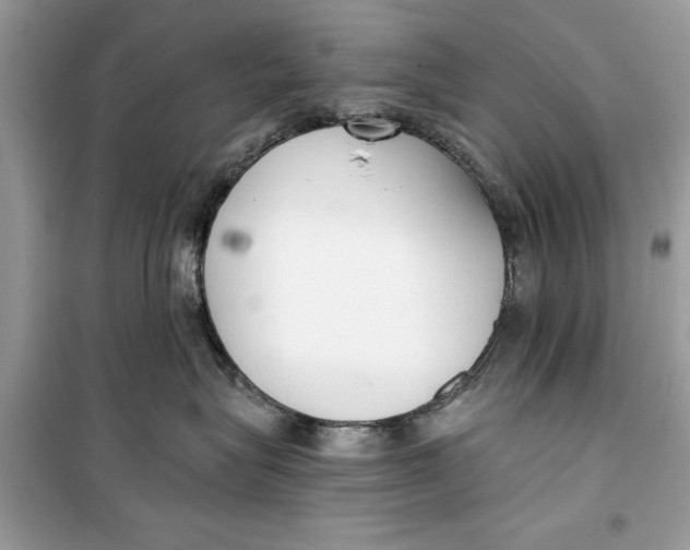 X0000099300575200805231345