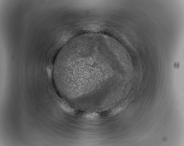 X0000099300576200805231345