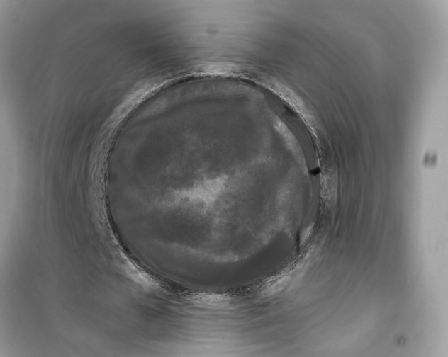 X0000099300577200805231344