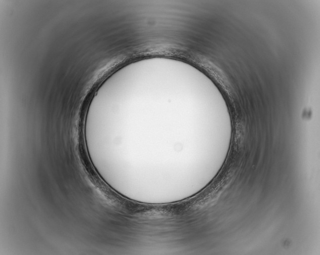 X0000099300578200805231344