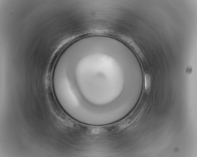 X0000099300579200805231344