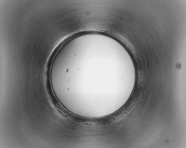 X0000099300580200805231344