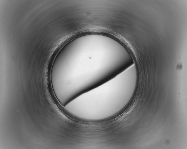 X0000099300581200805231344