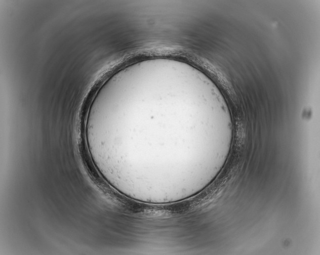 X0000099300582200805231344