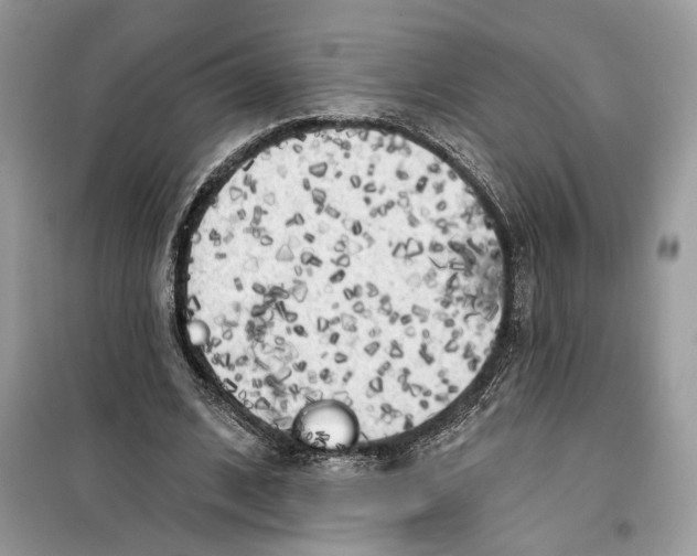 X0000099300584200805231344