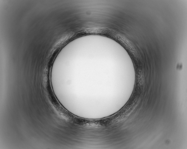 X0000099300586200805231344