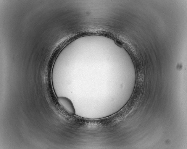 X0000099300587200805231344