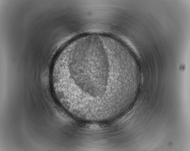 X0000099300588200805231344