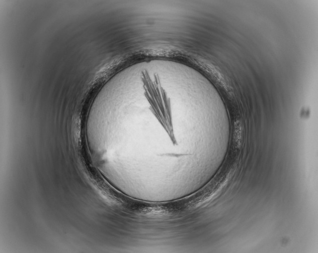 X0000099300589200805231344