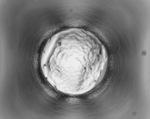 X0000099300590200805231344