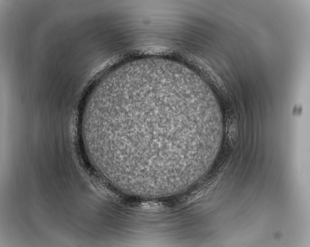 X0000099300591200805231344