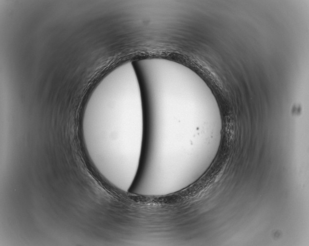 X0000099300593200805231344