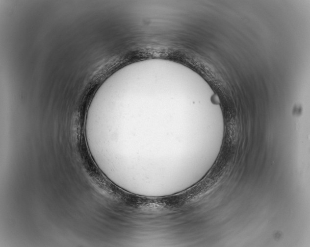 X0000099300594200805231344